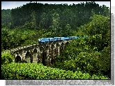Sri Lanka, Demodara, Most Nine Arches Bridge, Lasy, Pociąg Elektryczny