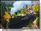 Pociąg, Wagony, Lokomotywa parowa, Dym, Drzewa