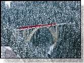 Pociąg, Most, Las, Zima, Śnieg, Szwajcaria