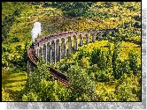 Szkocja, Miejscowość Glenfinnan, Dolina, Wiadukt Glenfinnan, Pociąg, Roślinność