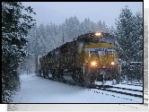 Pociąg, Śnieg, Drzewa