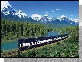Pociąg, Express, Góry, Las