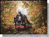 Pociąg, Lokomotywa parowa, Jesień, Drzewa