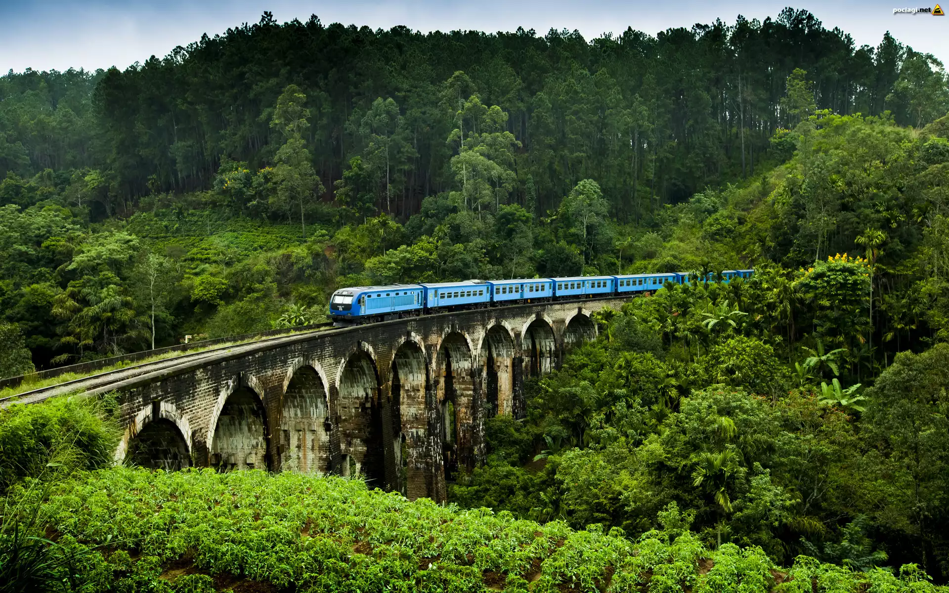 Sri Lanka, Demodara, Most Nine Arches Bridge, Lasy, Pociąg Elektryczny