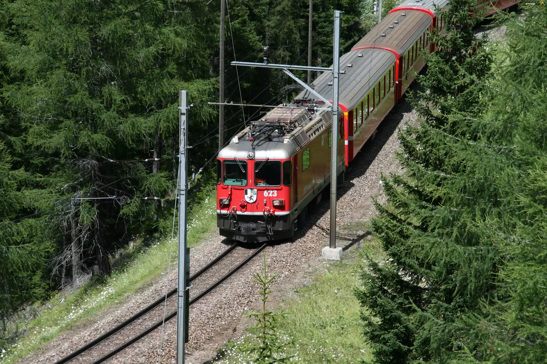 Pociąg, Elektryczny, Las