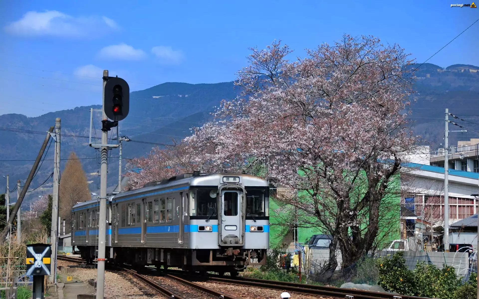 Pociąg, Japonia, Drzewa