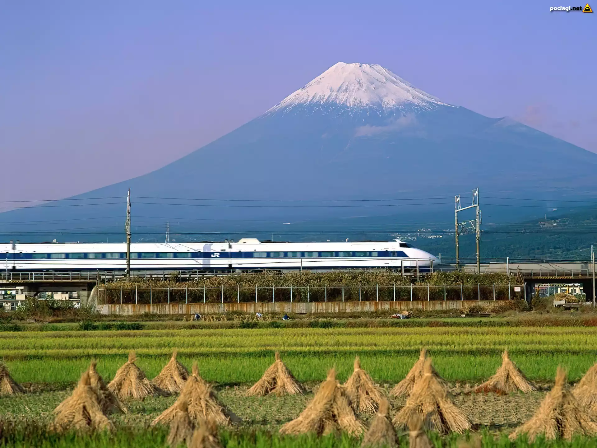 Pociąg Elektryczny, Shinkansen